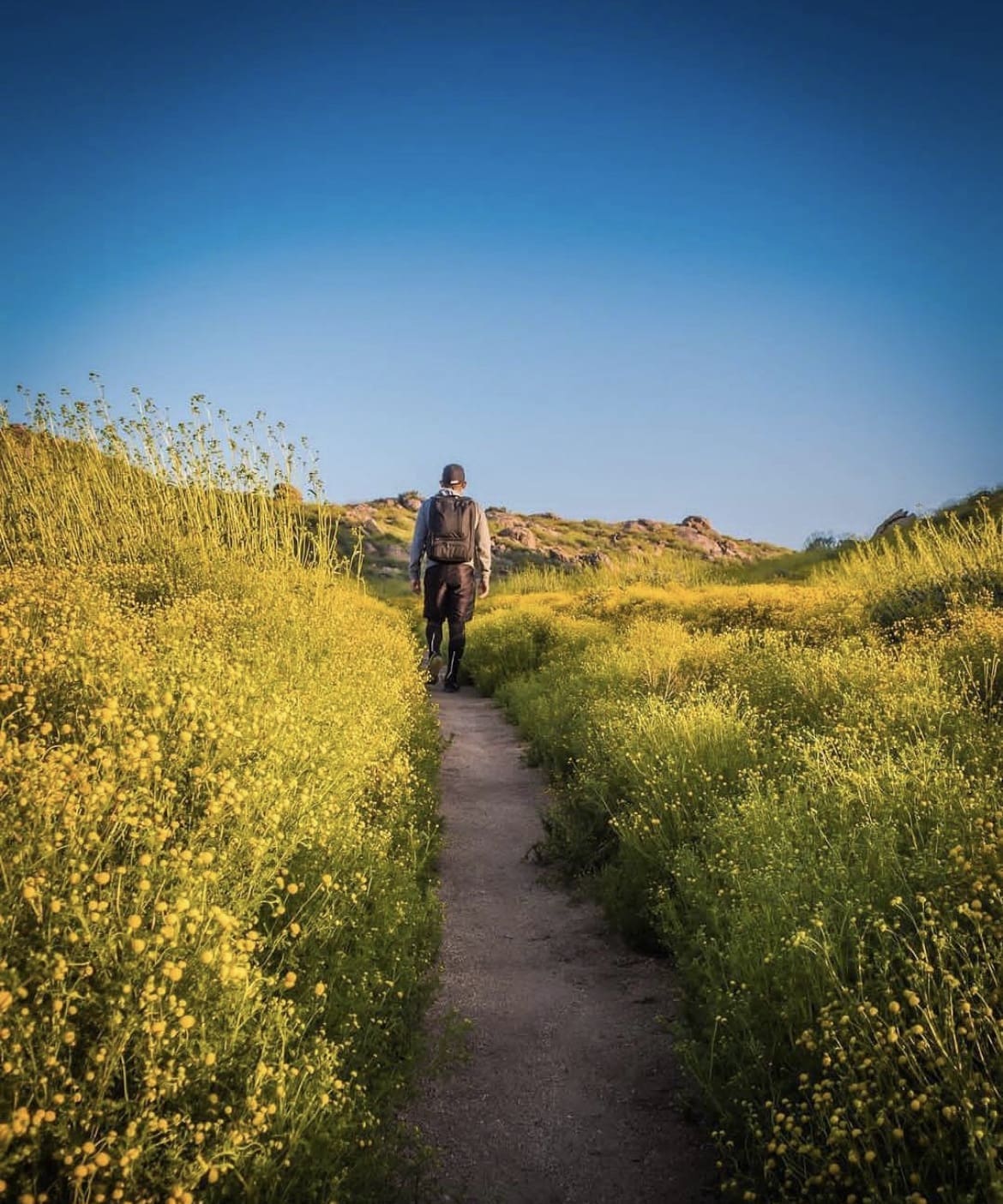 Hiking at Lake Perris