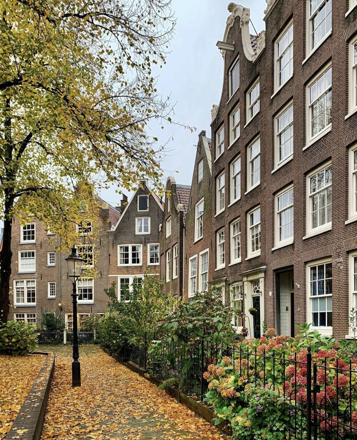 Begijnhof