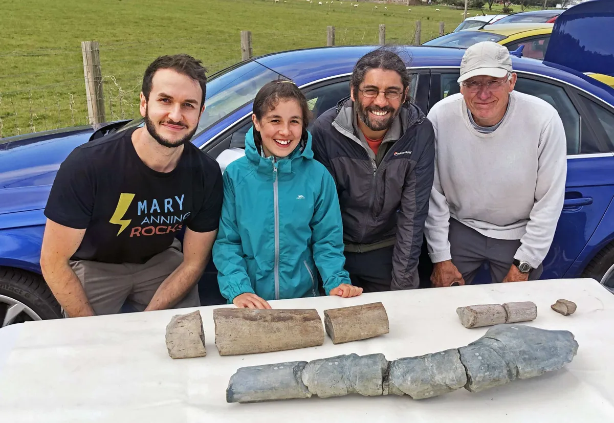 Dinosaur bones discovered in Somerset, England - 'Largest Reptile Ever' Ichthysoaur Discovery On Family Beach Day