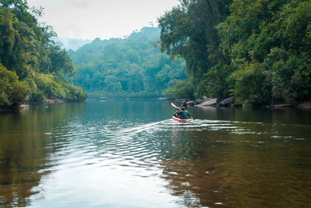 Researchers paddle through the Cardamom Mountains. Credit: Hem Manita / Fauna & Flora