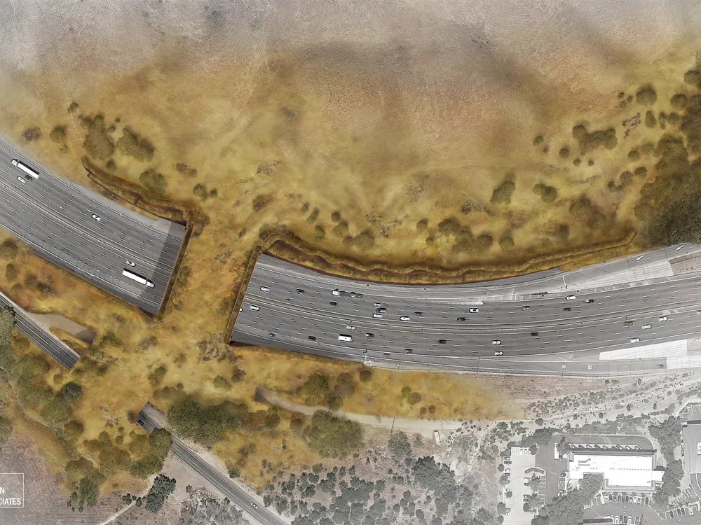 worlds largest wildlife crossing