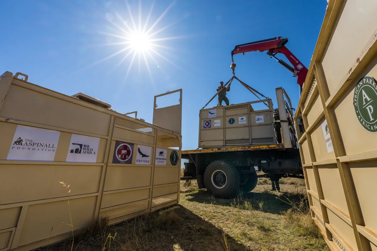40 crates for 40 rhinos being loaded onto trucks to be driven to Munywana Conservancy. Credit: Marcus Westberg