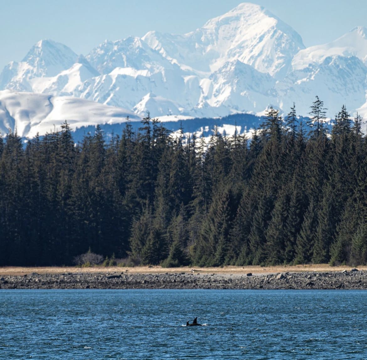 Mount Fairweather, Alaska/British Columbia