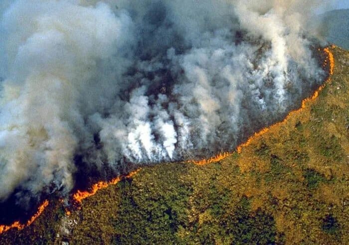 The Amazon Rainforest Is On Fire And The Smoke Has Blocked Out The Sun