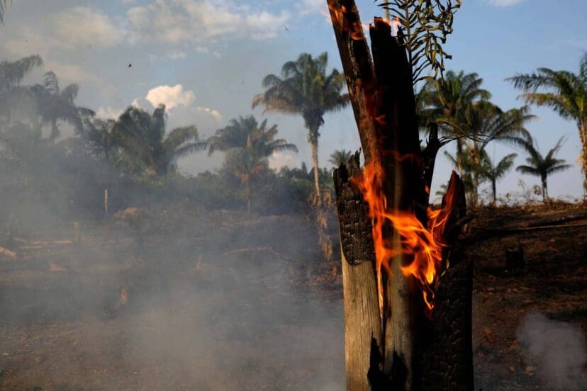 The Amazon Rainforest Is On Fire And The Smoke Has Blocked Out The Sun