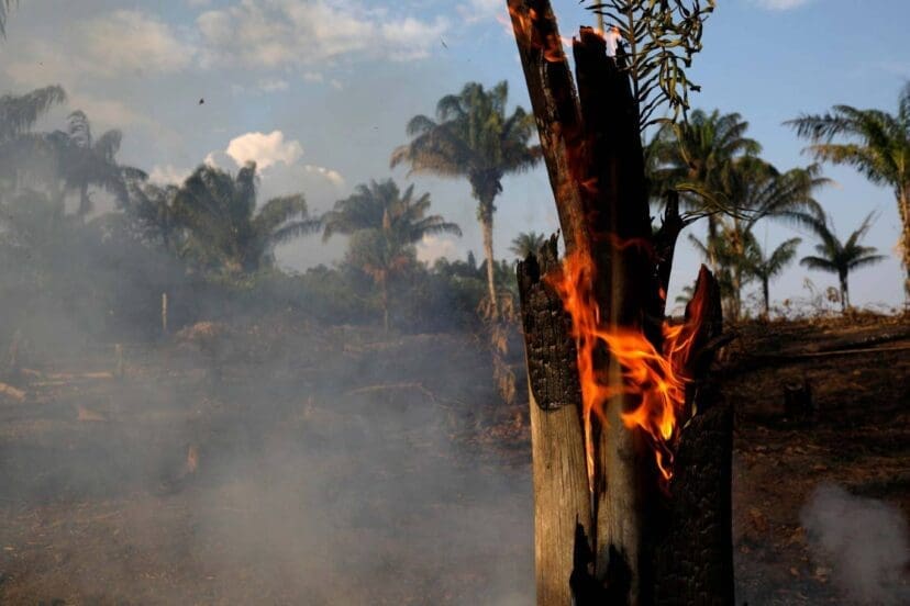 The Amazon Rainforest Is On Fire And The Smoke Has Blocked Out The Sun