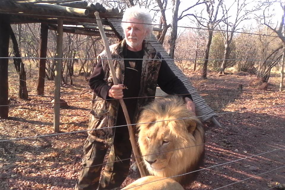 Three Lions Killed After Mauling Owner To Death