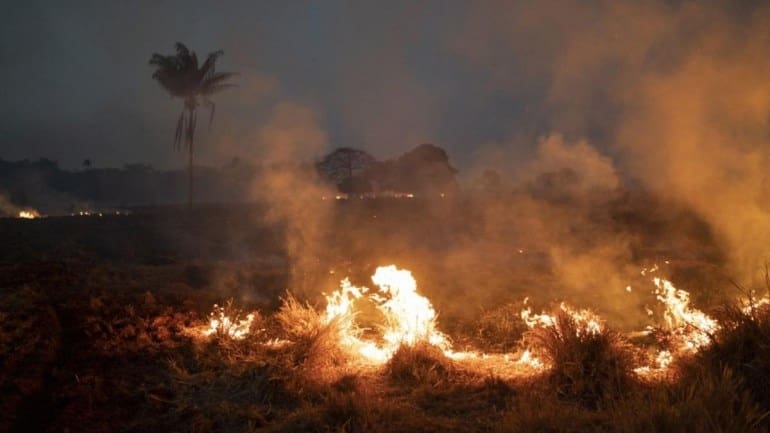 Leaked Documents Show Brazilian President Trying To Destroy Amazon Rainforest