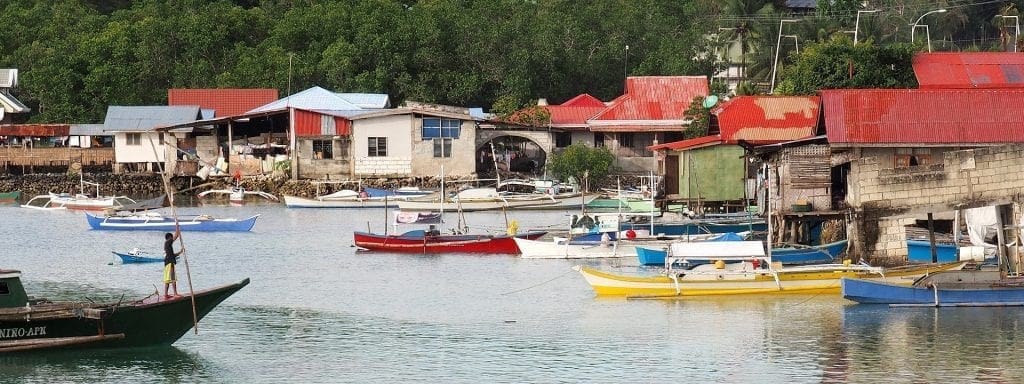 10-Year-Old Boy Snatched From Boat And Eaten By Crocodiles In front Of Brothers