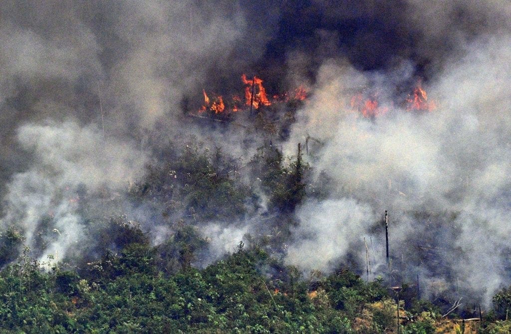 Leaked Documents Show Brazilian President Trying To Destroy Amazon Rainforest