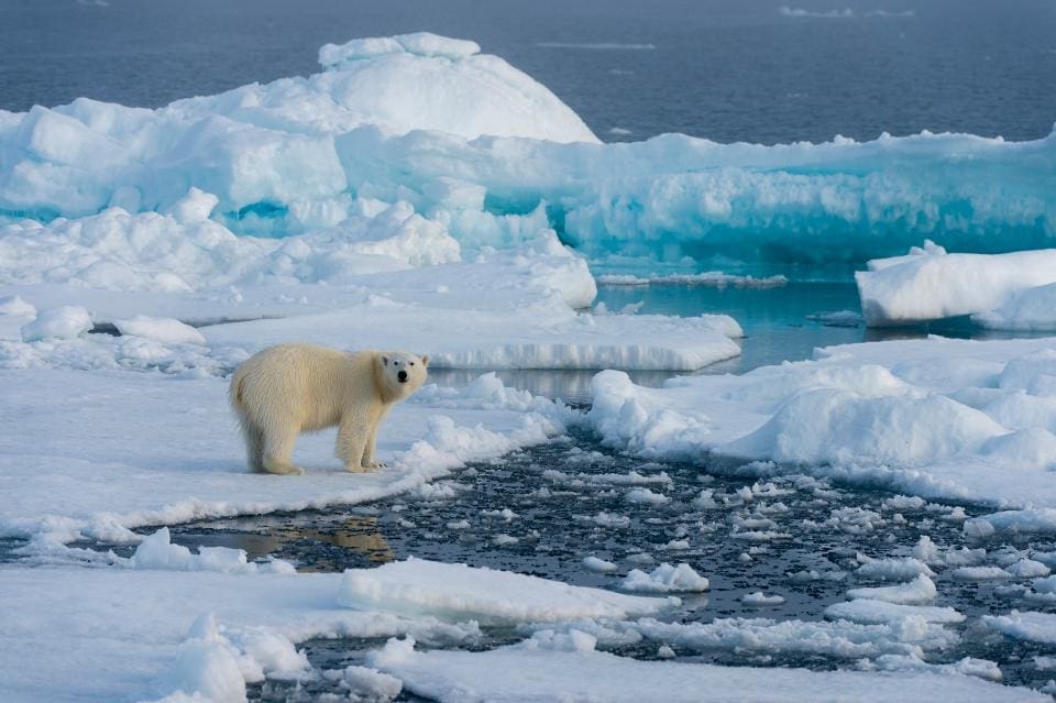 11 Reasons To Visit Svalbard