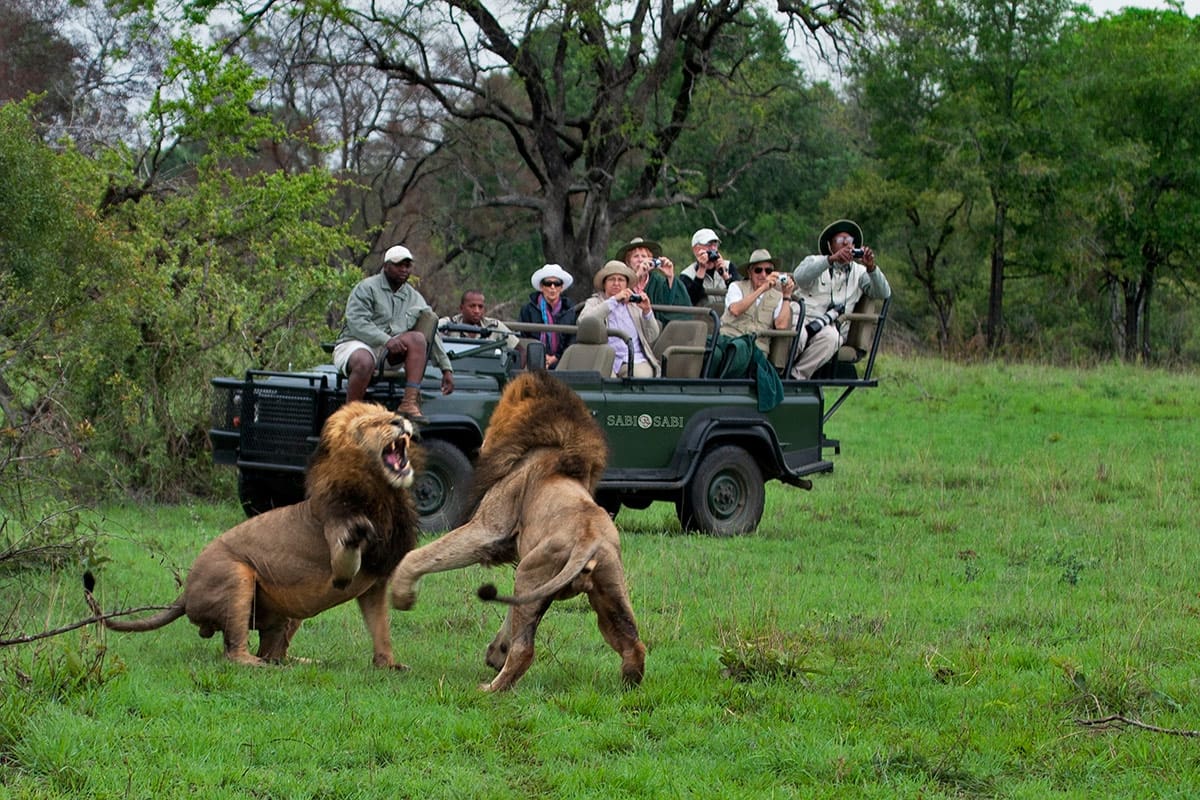 the top safari destinations in south africa