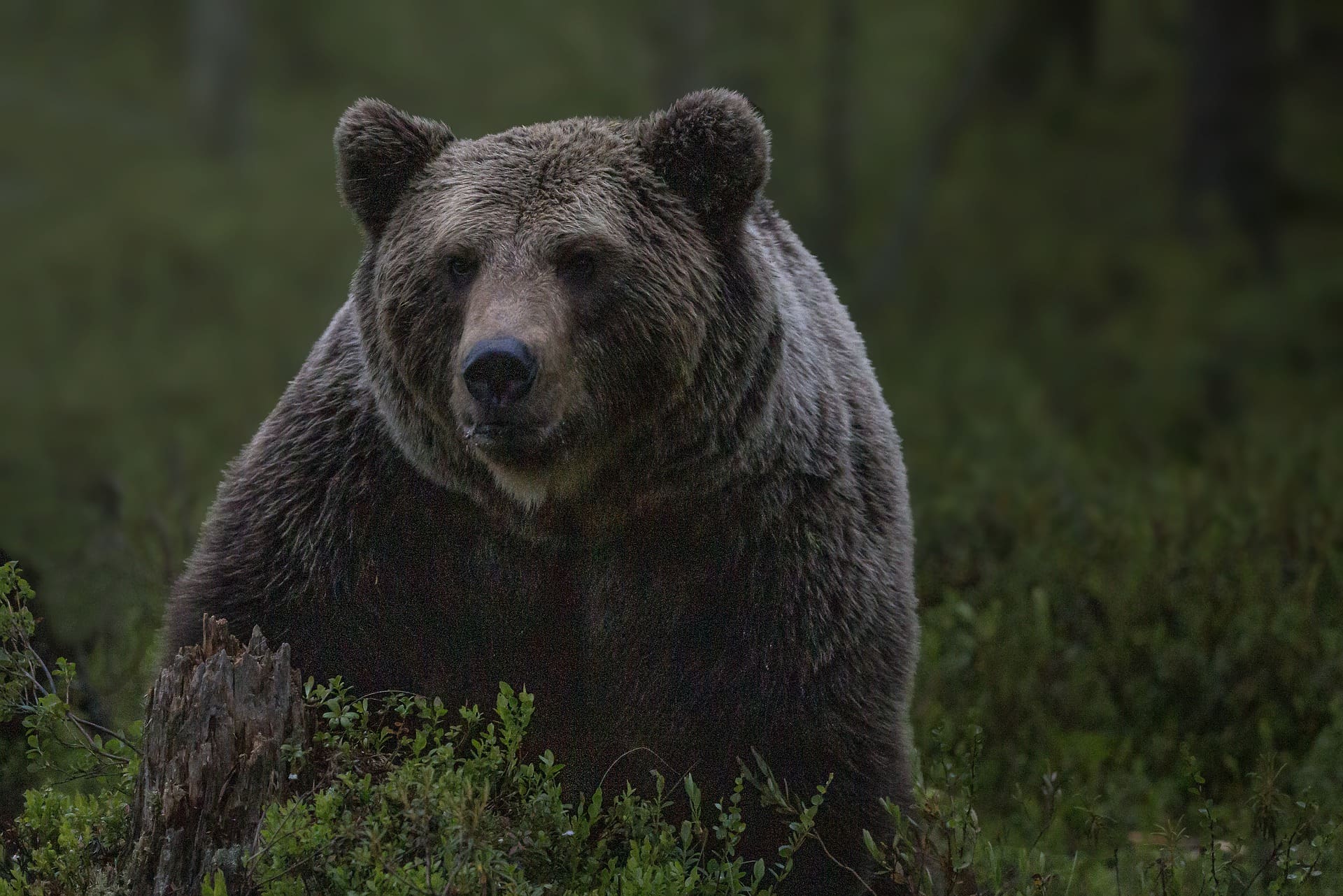 The 14 Wildest Places In Europe