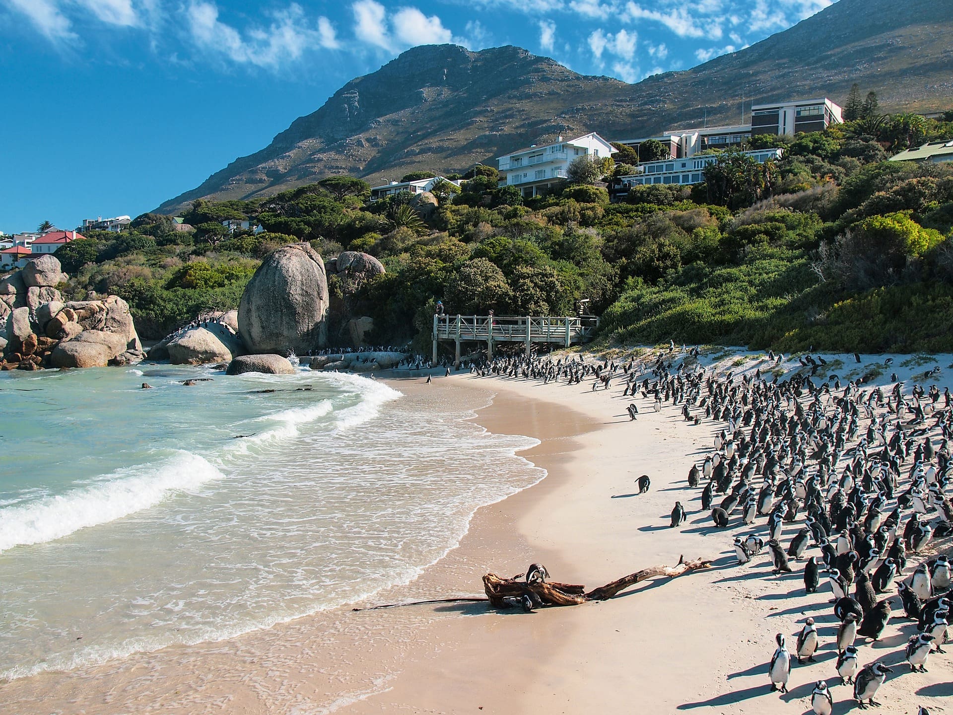 The Top 18 Things To Do In Cape Town