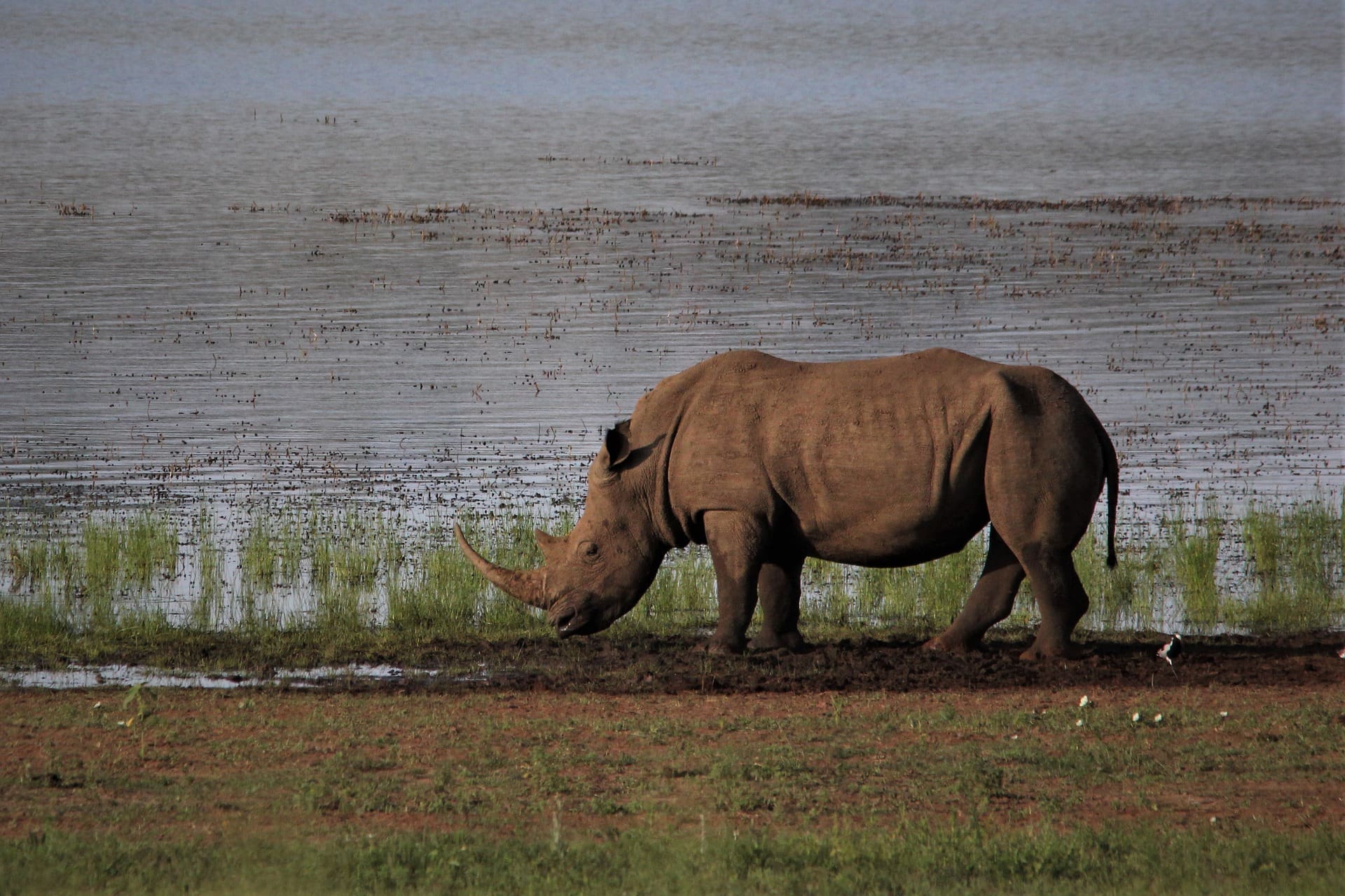 10 incredible national parks in zimbabwe