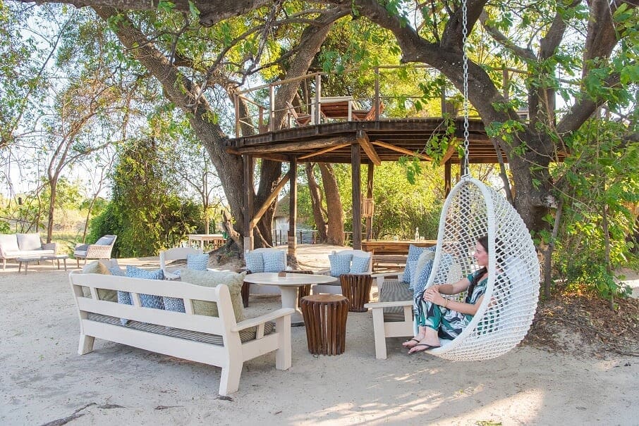 3 Exclusive Safari Experiences That Promote Well-being