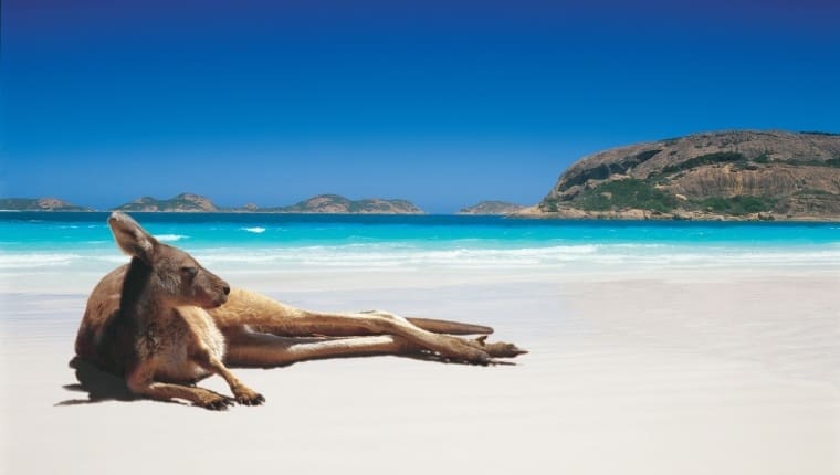 15 Breathtaking Beaches In Australia