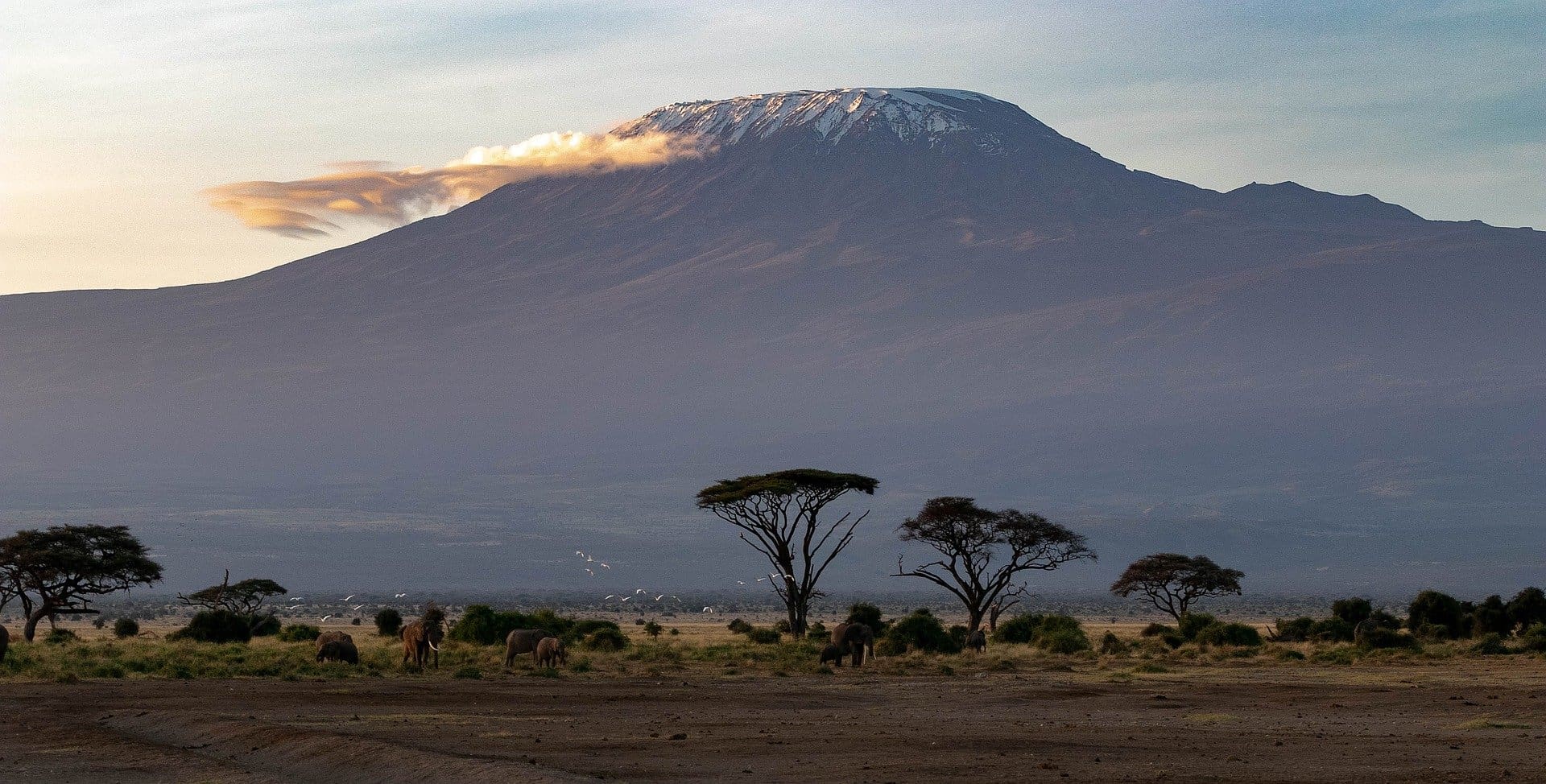 12 beautiful national parks in tanzania