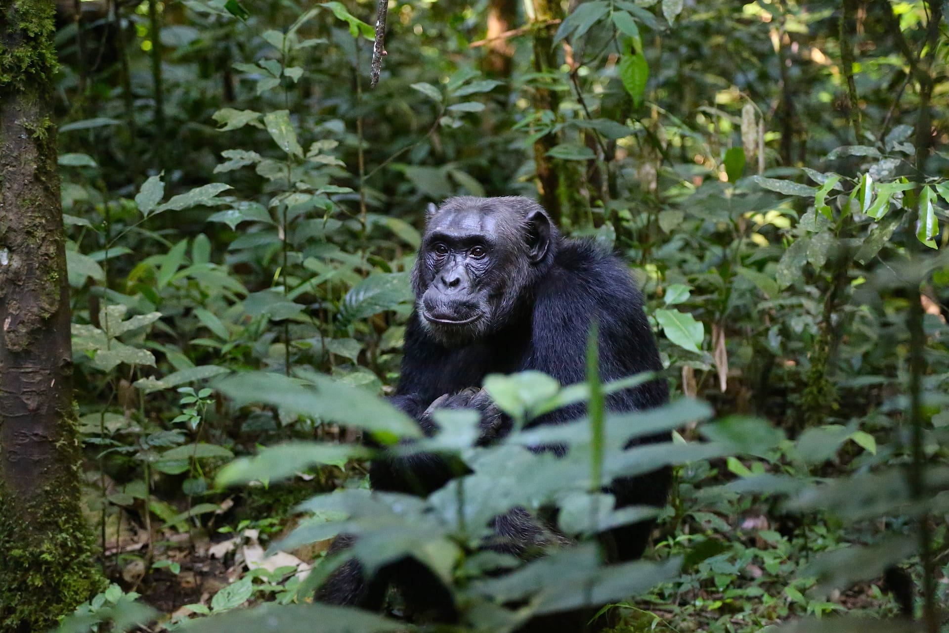 12 Beautiful National Parks In Tanzania