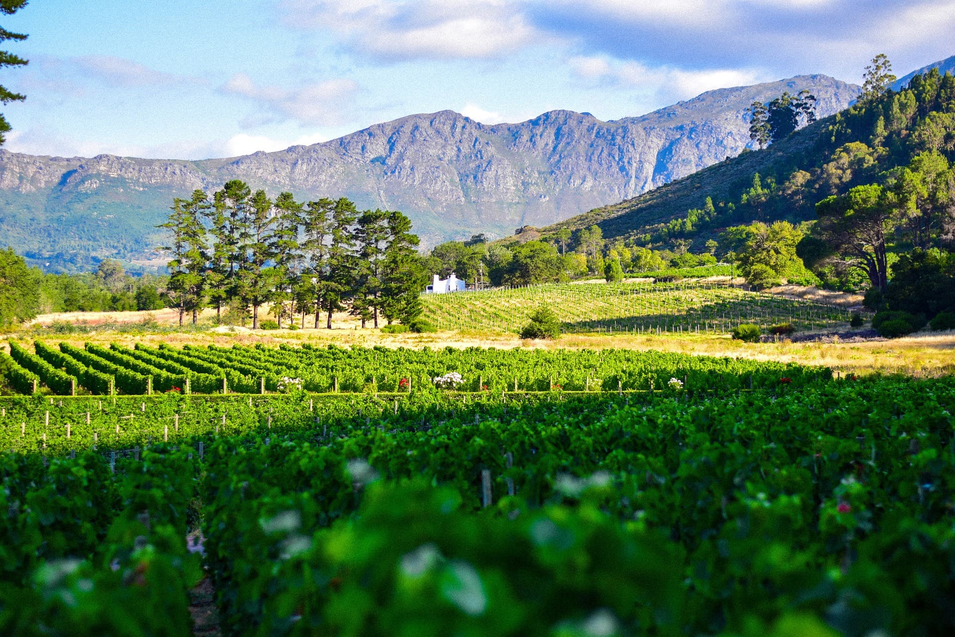 The 24 Best Things To Do In South Africa
