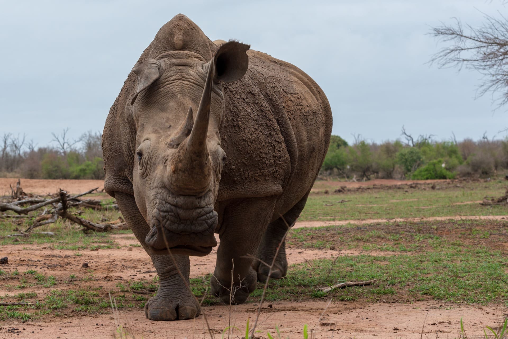 10 Remarkable Places To Visit In Botswana