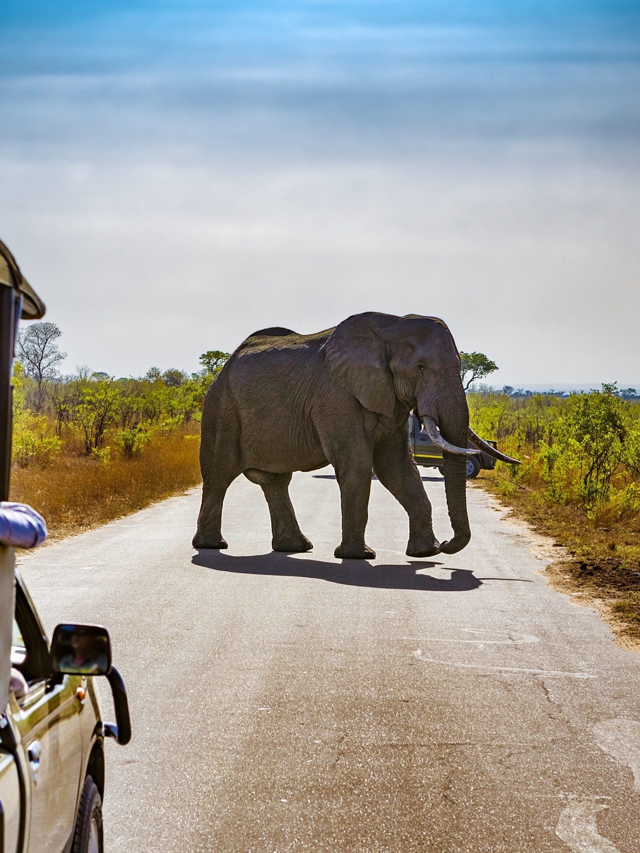 The best national parks in Southern Africa