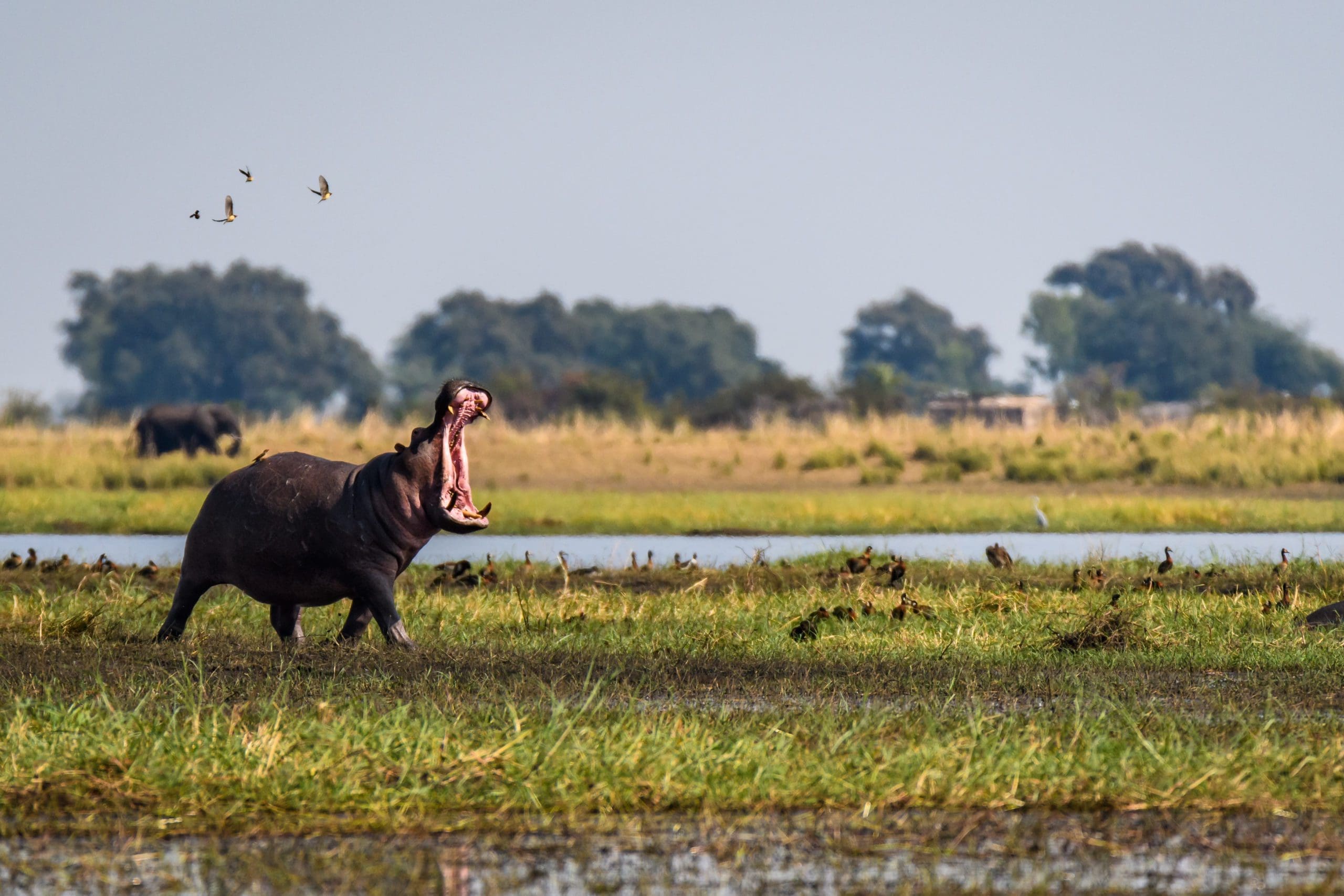 The best national parks in Southern Africa