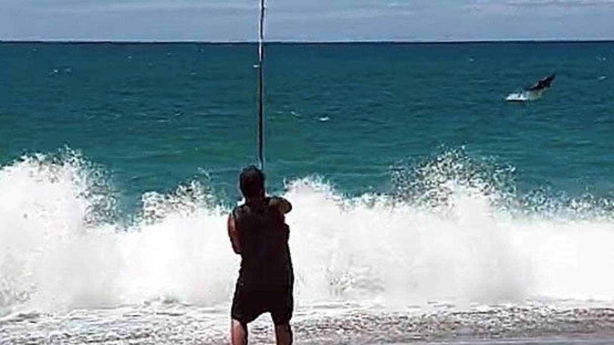 Fisherman accidentally hooks Great White Shark