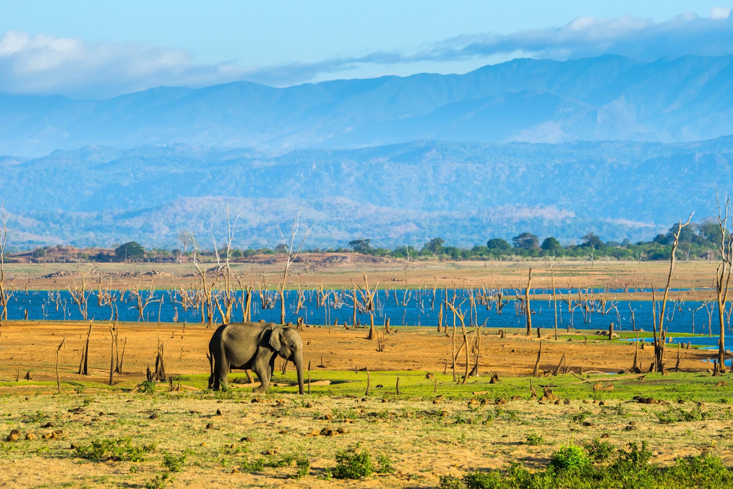 The Top 10 National Parks In Sri Lanka