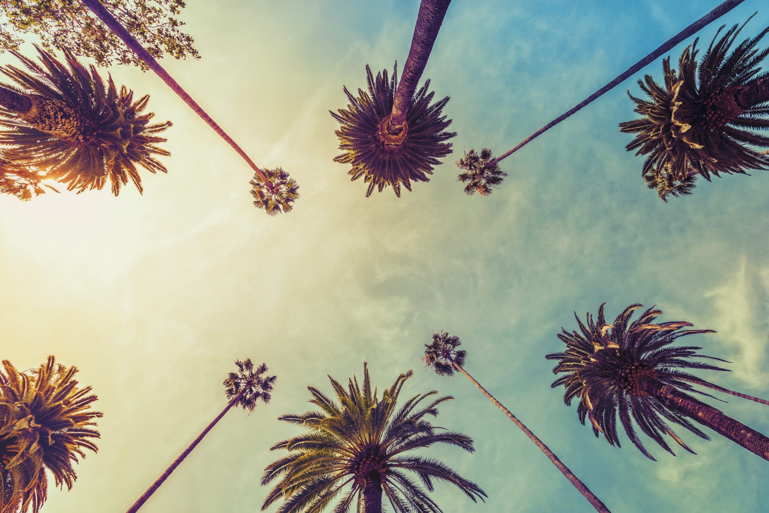 11 Ideas For A Bucket List Vacation In The USA