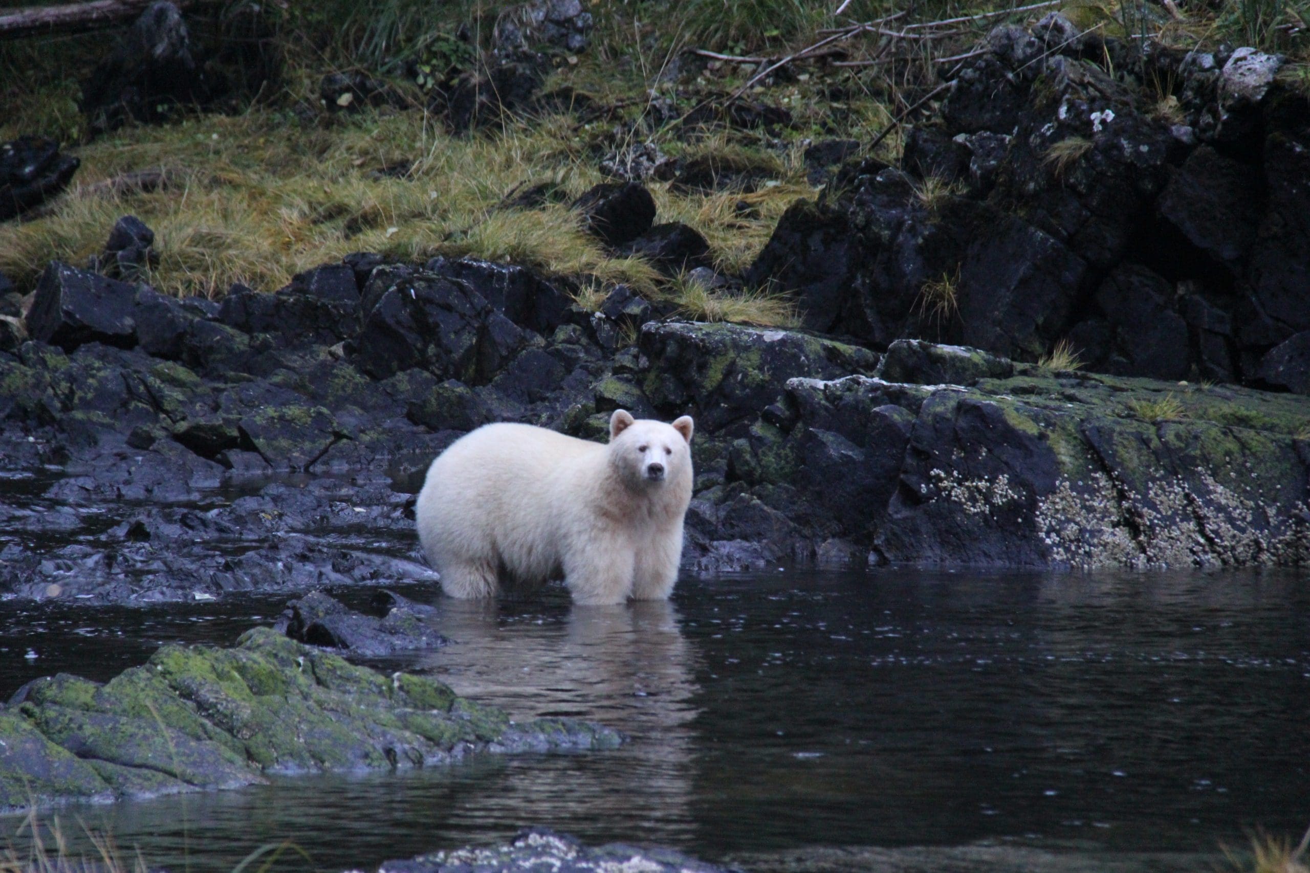 The best national parks in canada