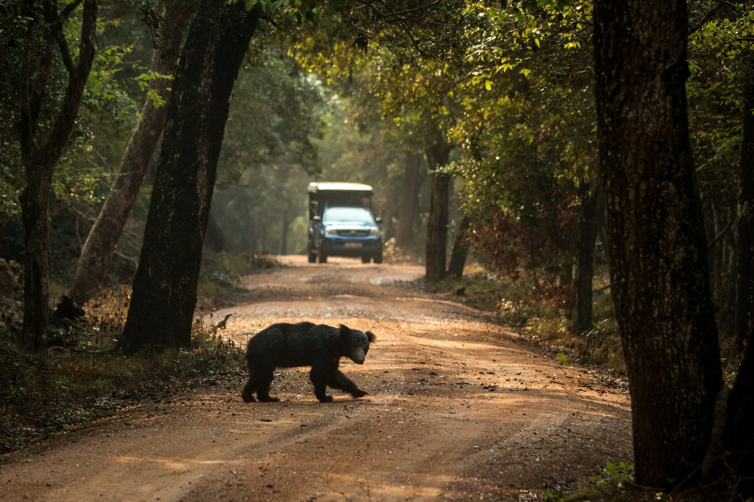 The Top 10 National Parks In Sri Lanka