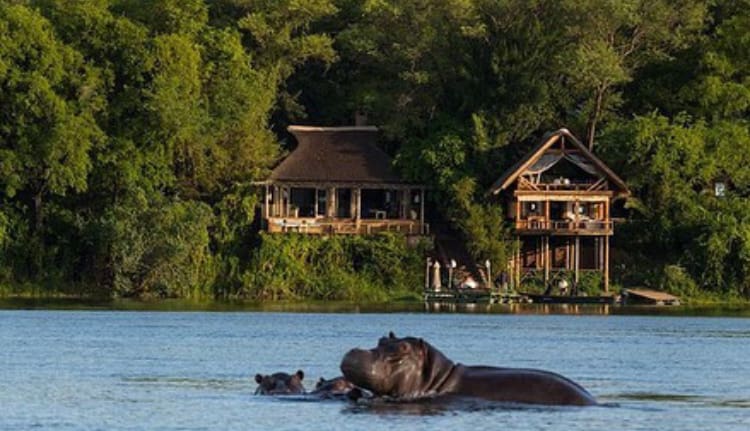 Luxury bush lodge on the banks of the Zambezi River