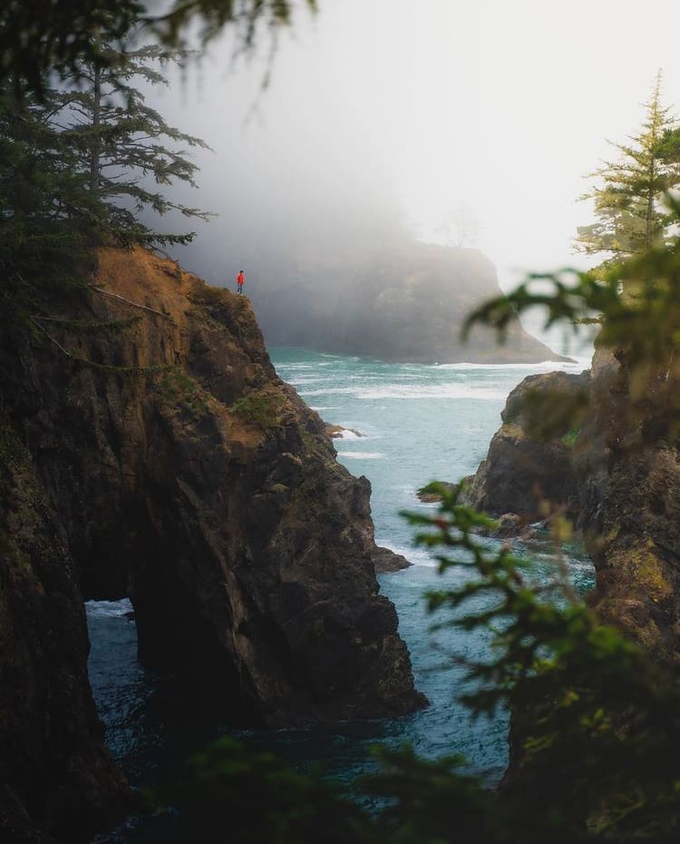 Adventures along the Oregon Coast Highway - 11 Of The Best Road Trips In The USA