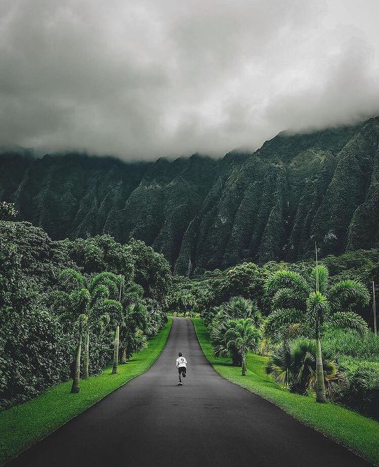 Highway to Hana, Hawaii. One of the most scenic roads on earth - 11 Of The Best Road Trips In The USA