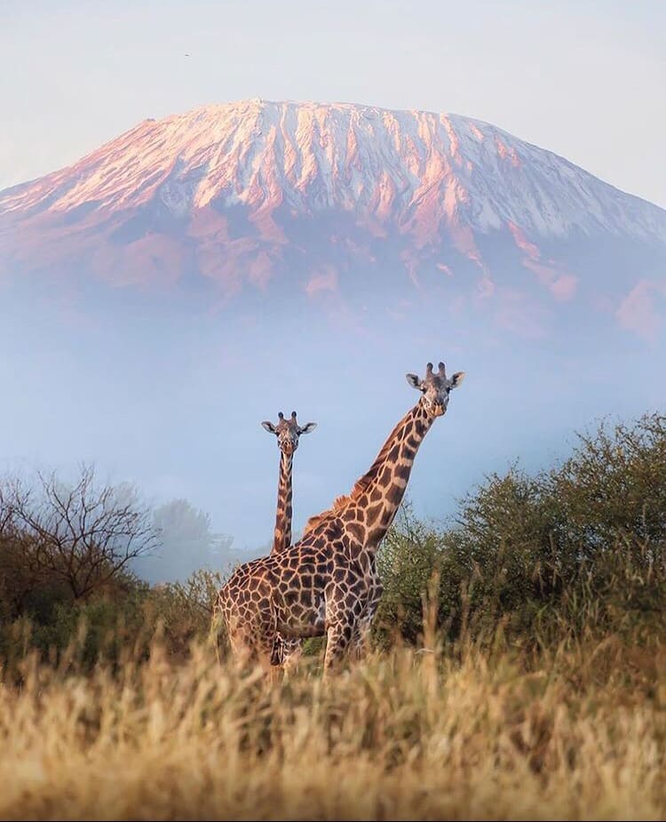 Mount Kilimanjaro