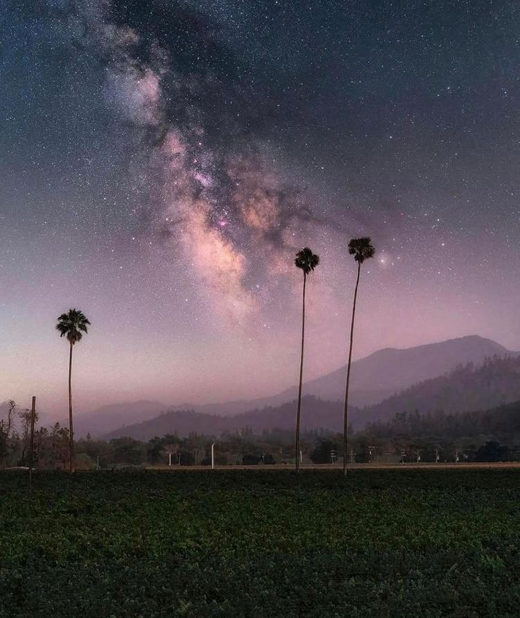 Starry skies over the iconic Three Palms Vineyard, Napa Valley - The 10 Best Road Trips On The West Coast