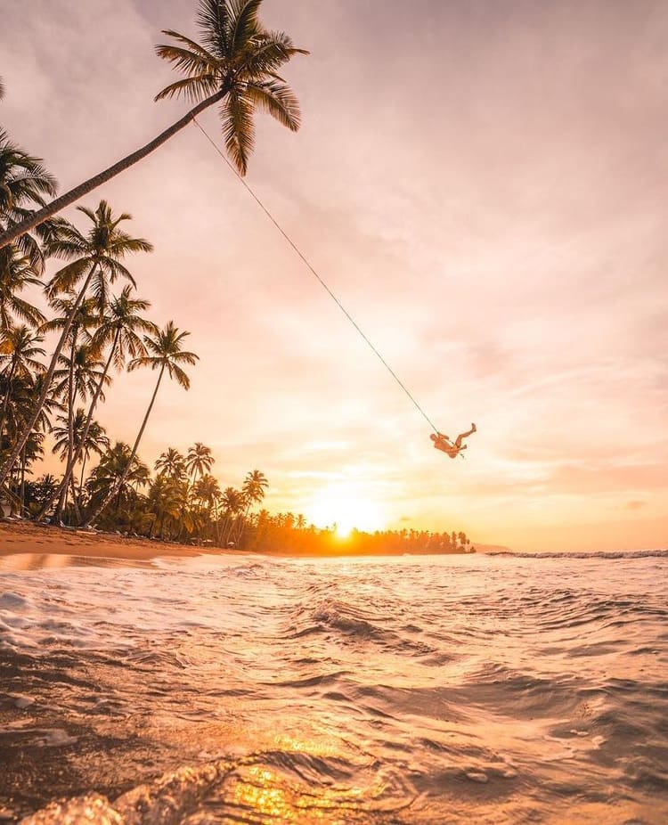 Palm swinging into the ocean in the Dominican Republic