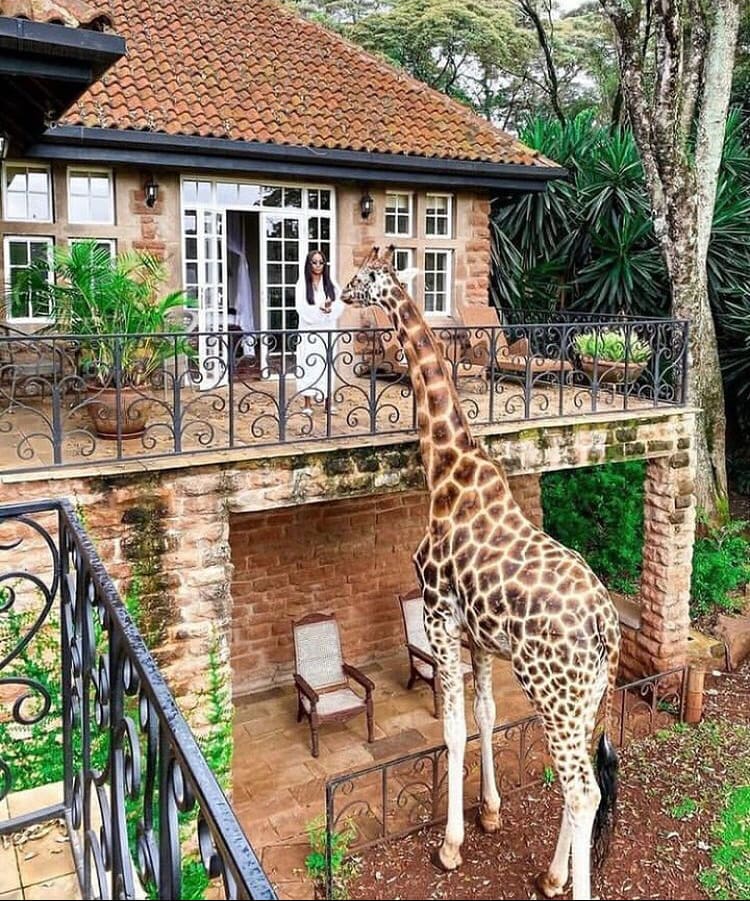 Luxury hotel in Kenya