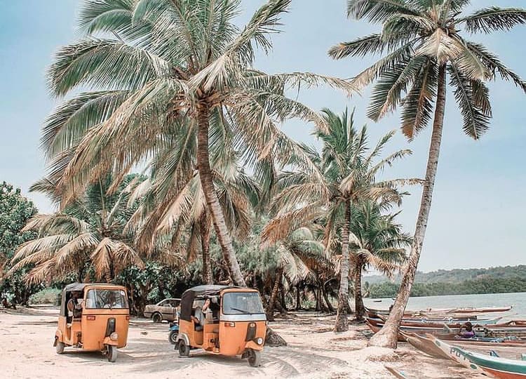 Tuk Tuks and palm trees on the beach in Madagascar