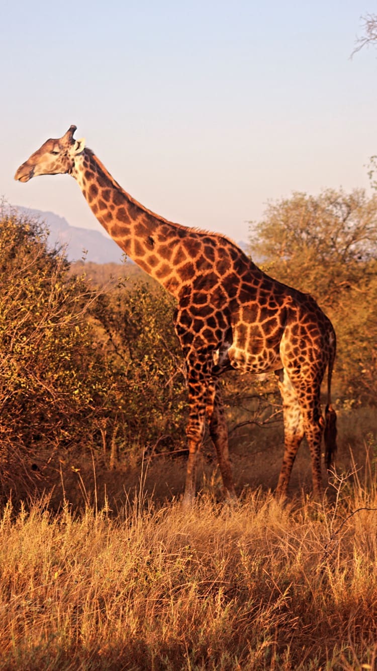 Five Days at Pondoro Game Lodge