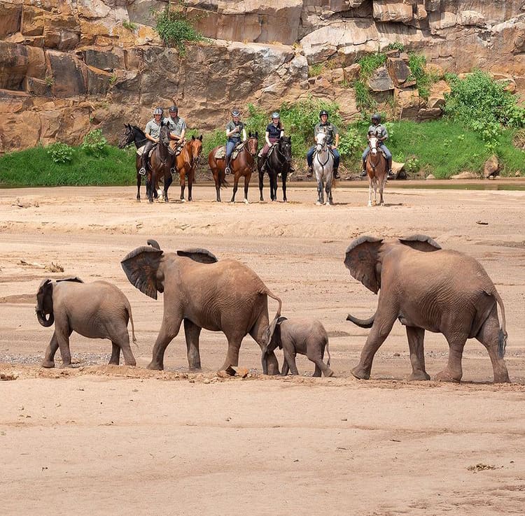 People on horseback safari watching an elephant herd cross the dry riverbank