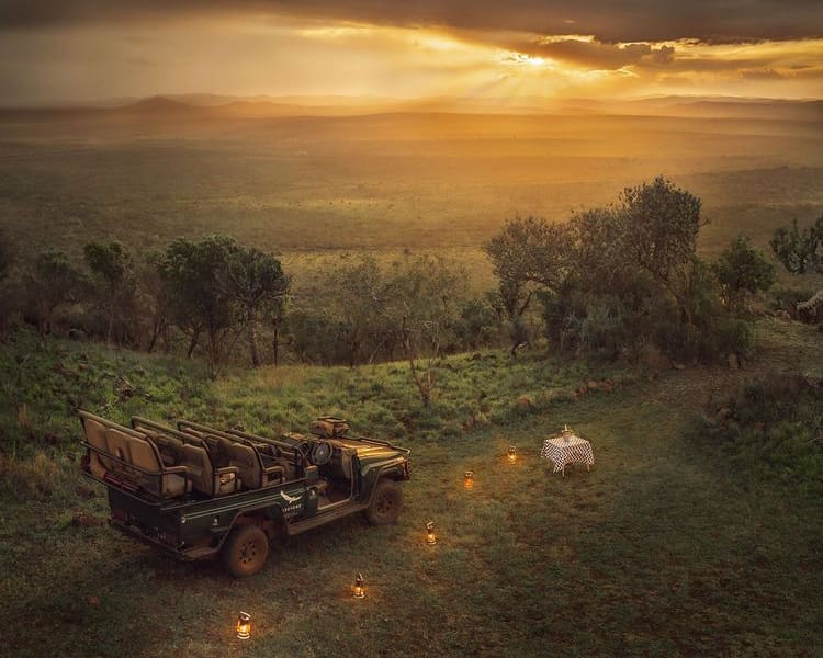 Dreamy safari scene in Phinda Private Game Reserve - The Best Private Game Reserves in South Africa