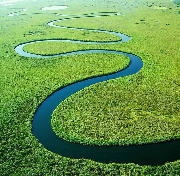 Aerial view the winding Okavango River - The Best Places to Go on Safari in Botswana