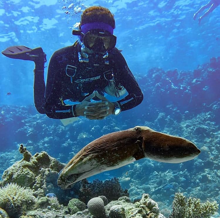 A diver and squid interact while scuba diving in Egypt