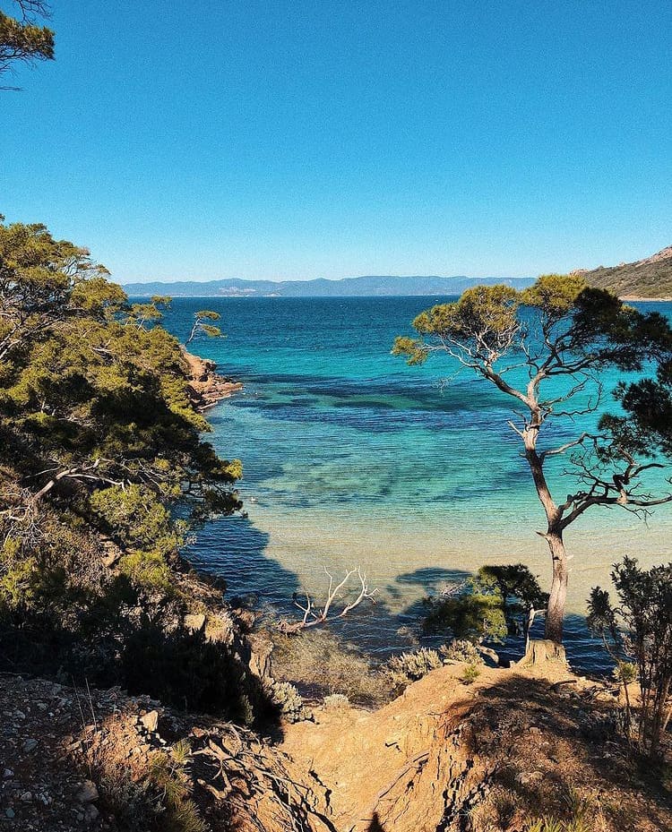 Private beach in Ile de Porquerolles 
