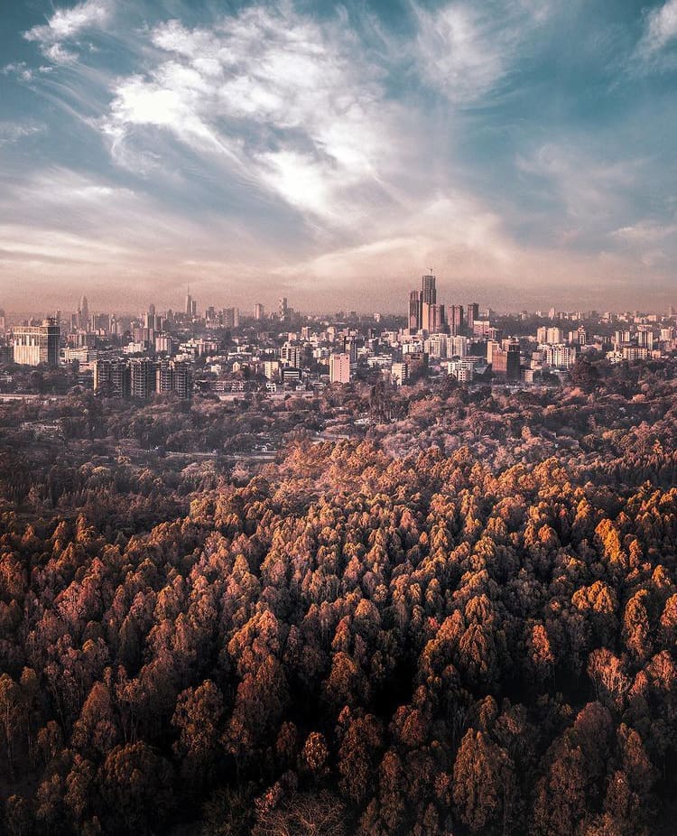 Aerial view of Karura Forest on the outskirts of Nairobi