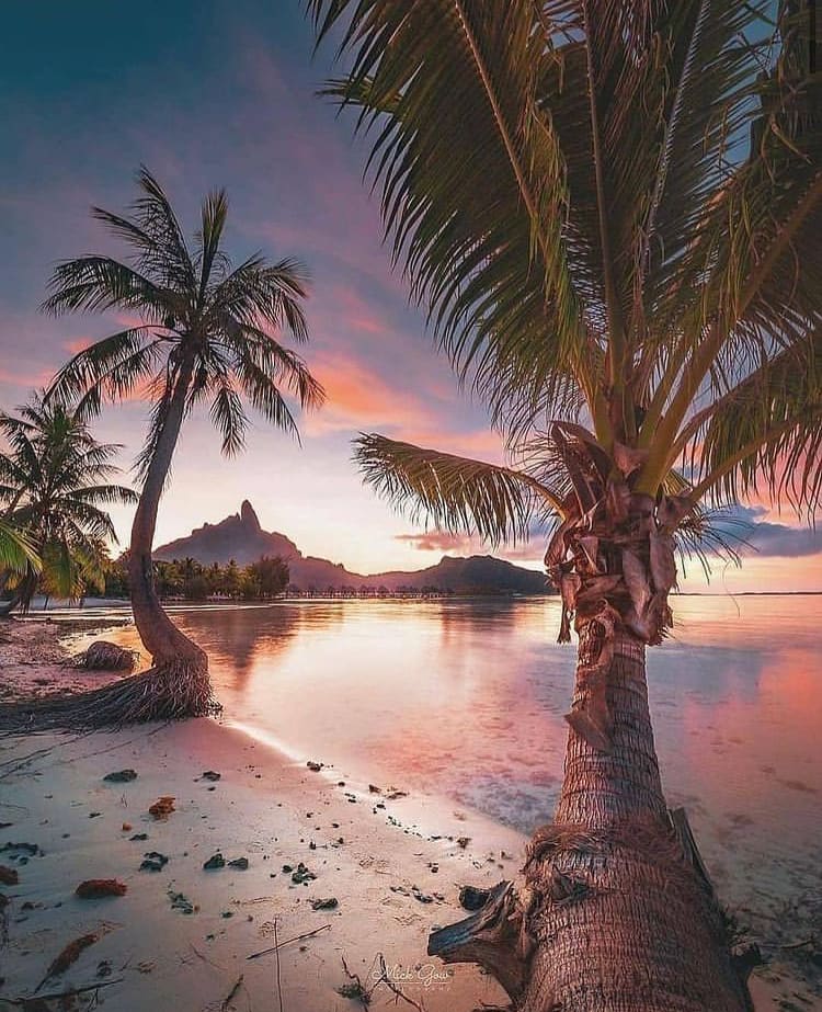 The Best Time to Visit Bora Bora