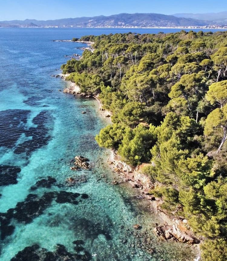 Forested beach on Saint Marguerite Island