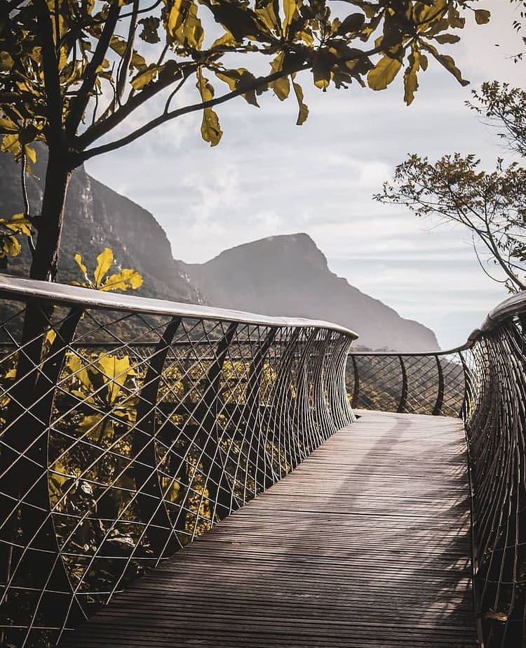 Suspended 'Boomslang' bridge in Kirstenbosch Botanical Garden - The 10 Best Hikes in Cape Town